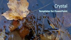  Presentation with maple leaf - PPT theme consisting of floating on thin autumn ice background and a ocean colored foreground