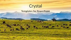  Presentation with sheep flock lambs standing - Cool new PPT layouts with flock is in the pasture backdrop and a blonde colored foreground