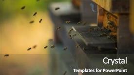  Presentation with flying - Beautiful presentation theme featuring flock of bees flying backdrop and a dark gray colored foreground