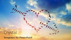  Presentation with birds flying - Beautiful PPT layouts featuring flock-of-birds-flying backdrop and a lemonade colored foreground