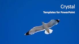  Presentation with birds in sky - Slide set enhanced with flock of birds in sky background and a dark gray colored foreground