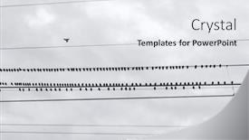  Presentation with birds - Presentation theme consisting of flock-of-black-birds and a sky blue colored foreground