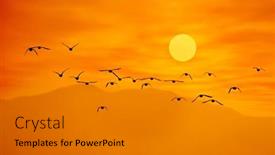  Presentation with flying - Presentation theme having flock-of-ducks-flying background and a  colored foreground