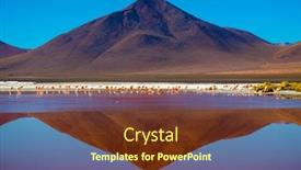  Presentation with forage - Cool new theme with flock-of-flamingos-forage backdrop and a tawny brown colored foreground