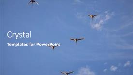  Presentation with blue sky - Theme with flock-of-flying-swans-against background and a teal colored foreground