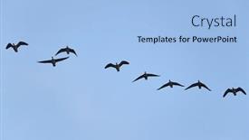  Presentation with geese flying - Slide deck consisting of flock-of-geese-flying background and a light blue colored foreground