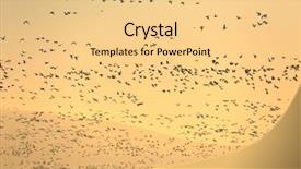  Presentation with geese flying - Slide set featuring flock of geese flying background and a blonde colored foreground