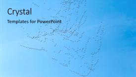  Presentation with geese flying - Presentation theme having flock of geese flying background and a light blue colored foreground