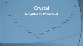  Presentation with geese flying - Beautiful presentation design featuring flock of geese flying backdrop and a teal colored foreground