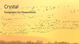  Presentation with geese flying - Audience pleasing slide deck consisting of flock of geese flying backdrop and a blonde colored foreground