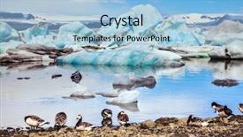  Presentation with lake ice - Amazing theme having flock of geese grazing backdrop and a light blue colored foreground