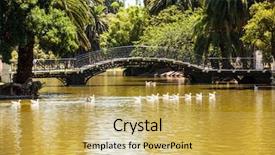  Presentation with geese - Colorful PPT layouts enhanced with flock of geese backdrop and a yellow colored foreground