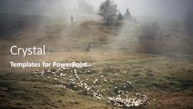  Presentation with fog - Colorful slides enhanced with flock-of-lamb-and-sheep backdrop and a gray colored foreground