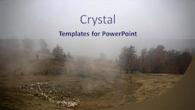  Presentation with grazing - Amazing slide deck having flock-of-lamb-and-sheep backdrop and a sky blue colored foreground