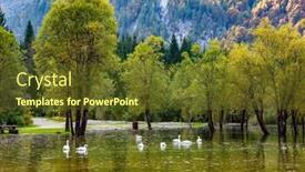  Presentation with white snow - PPT theme having flock-of-magnificent-snow-white background and a tawny brown colored foreground