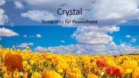  Presentation with rural tourism concept - Audience pleasing presentation consisting of flock of migratory birds fly backdrop and a  colored foreground