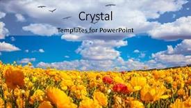  Presentation with rural tourism concept - PPT layouts having  background and a  colored foreground