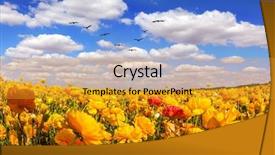  Presentation with rural tourism concept - Slide set featuring flock of migratory birds fly background and a gold colored foreground