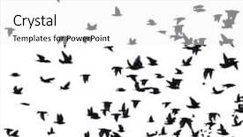  Presentation with birds flying - Slides featuring flock of migratory birds set background and a white colored foreground
