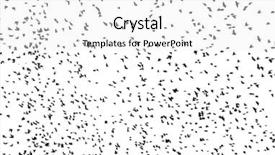  Presentation with birds flying - Slide deck featuring flock of migratory birds set background and a white colored foreground