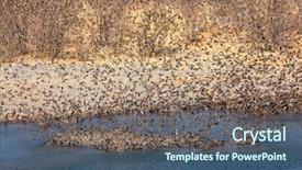  Presentation with water flow in pipe - Theme featuring flock of red-billed queleas background and a ocean colored foreground