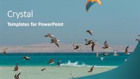  Presentation with waves red - Amazing theme having flock-of-sea-gull backdrop and a teal colored foreground
