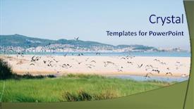 Presentation with white sand - Colorful presentation enhanced with flock of seagulls in early backdrop and a sky blue colored foreground