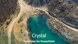  Presentation with blue water - PPT theme featuring flock of sheep drinking water background and a ocean colored foreground