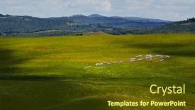  Presentation with grazing - Colorful presentation enhanced with flock of sheep grazing on the tuscany hill backdrop and a tawny brown colored foreground