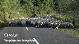  Presentation with new zealand - Cool new slides with clouds taken from an airplane backdrop and a light blue colored foreground