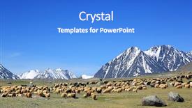  Presentation with snow mountain - Presentation design with flock of sheep on mountain background and a  colored foreground