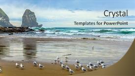  Presentation with white sand - Slide set with flocking - flock of white cormorants resting background and a light blue colored foreground