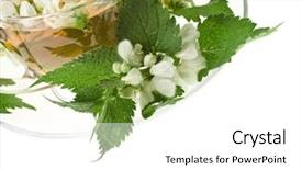  Presentation with nettle - Presentation theme with flog - herbal tea with flowers nettle background and a white colored foreground