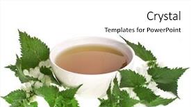  Presentation with white flowers - Cool new slide deck with flog - herbal tea with flowers nettle backdrop and a white colored foreground