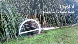  Presentation with stormwater - Amazing presentation having flood images - australian suburban stormwater drains backdrop and a ocean colored foreground