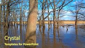  Presentation with flood - Beautiful presentation theme featuring flood in oak wood backdrop and a tawny brown colored foreground