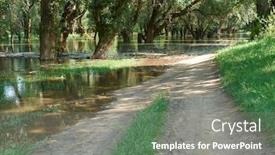  Presentation with high level - PPT layouts consisting of flood-in-the-forest-dirt background and a gray colored foreground