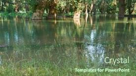  Presentation with river forest - Colorful PPT theme enhanced with flood-in-the-forest-river backdrop and a tawny brown colored foreground