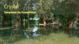  Presentation with river forest - Presentation design with flood-in-the-forest-river background and a tawny brown colored foreground