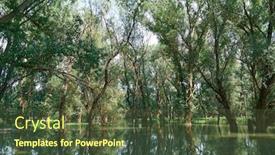  Presentation with flooding - Colorful PPT theme enhanced with flood-in-the-forest-river backdrop and a tawny brown colored foreground