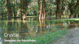  Presentation with water river - Audience pleasing presentation design consisting of flood-in-the-forest-river backdrop and a tawny brown colored foreground