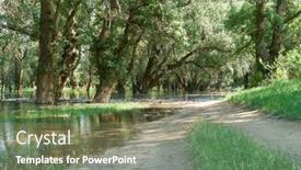  Presentation with high level - Presentation consisting of flood-in-the-forest-river background and a violet colored foreground