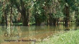  Presentation with high level - Presentation theme with flood-in-the-forest-river background and a coral colored foreground