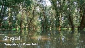  Presentation with river forest - Slide set featuring flood-in-the-forest-river background and a tawny brown colored foreground