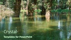  Presentation with water river - PPT theme enhanced with flood-in-the-forest-river background and a tawny brown colored foreground