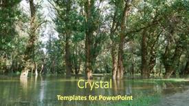  Presentation with flooding - Slide set enhanced with flood-in-the-forest-river background and a tawny brown colored foreground