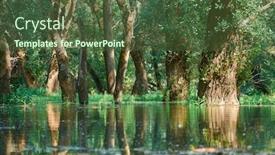  Presentation with river forest - Amazing presentation design having flood-in-the-forest-river backdrop and a tawny brown colored foreground