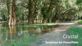  Presentation with high level - Presentation theme consisting of flood-in-the-forest-river background and a gray colored foreground