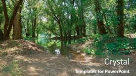  Presentation with high level - Slide set consisting of flood-in-the-forest-river background and a gray colored foreground