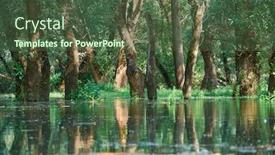  Presentation with river forest - Beautiful slide deck featuring flood-in-the-forest-river backdrop and a tawny brown colored foreground